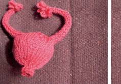 Gibt es neue für die Praxis relevante Erkenntnisse?