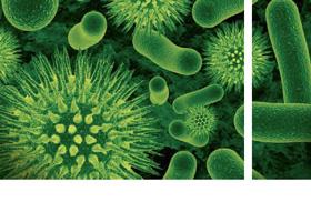 Aktuelle Aspekte bei Harnwegsinfektionen