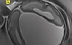 Auflösung Sonoquiz 04/18