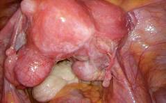 Der spezielle Fall – Irgendwie deplaziert