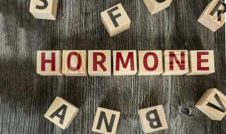 Hormone und Krebs