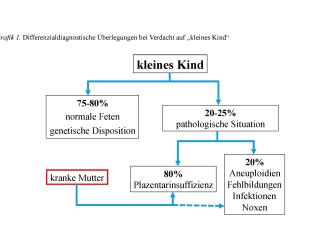 Abb. 1. Differenzialdiagnostische Überlegungen bei Verdacht auf „kleines Kind“
