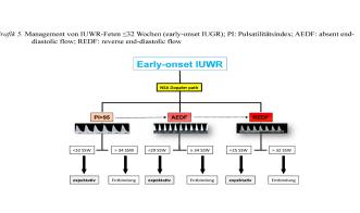 Abb. 5. Management von IUWR-Feten ≤32 Wochen (early-onset IUGR); PI: Pulsatilitätsindex; AEDF: absent enddiastolic flow; REDF: reverse end-diastolic flow