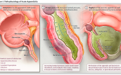 Für Sie kommentiert