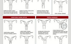 Wussten Sie schon...