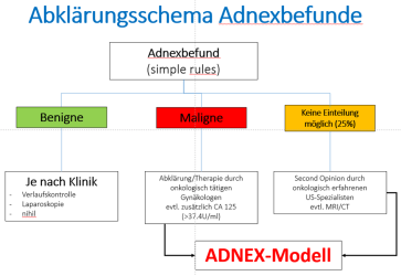 Abb. 6. Algorithmus zur Abklärung von Adnexbefunden