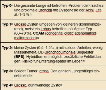 Tabelle 1. Einteilung der CPAM