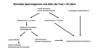 Normales Spermiogramm und Alter der Frau < 35 Jahre