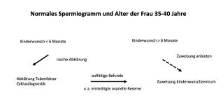 Normales Spermiogramm und Alter der Frau 35-40 Jahre