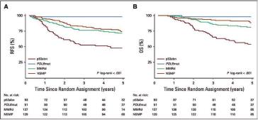 Abb. 1. Die Daten der PORTEC-Studie, in die über 600 Patientinnen eingeschlossen wurde, belegen deutlich den prognos-tischen Stellenwert der molekularen Tumoreigenschaften des Endometriumkarzinoms.