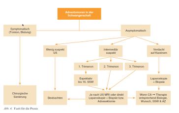 Abb. 4. Fazit für die Praxis