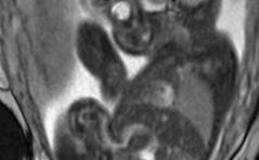 Auflösung Sonoquiz 03+04/2023