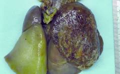 Auflösung Sonoquiz 02/23