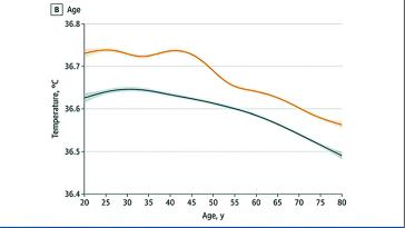 Abbildung 3. Körpertemperatur und Alter bei Frauen (gelb) und Männern (blau)