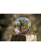 Frauenheilkunde aktuell 01/24