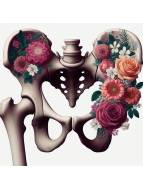 Frauenheilkunde aktuell 02/24