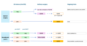 Abbildung 3. Algorithmus zur Axillachirurgie Stand 2024. © C. Leo, Kantonsspital Baden 2024