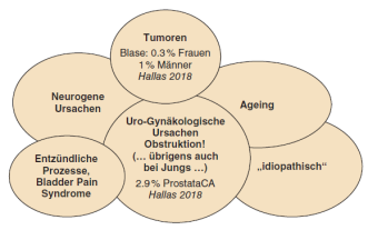 Abbildung 1. Ätiologie der überaktiven Blase