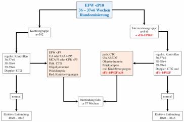 Abbildung 4. Flowchart ­Management von „term“ IUWR (nach Mendoza M et al.6)