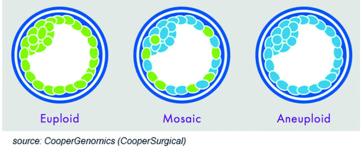 Abb. 2. Ein Mosaikembryo besteht aus unterschiedlichen Zelllinien: euploid und aneuploide Zellen.