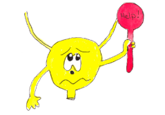 The Ageing Bladder: Östrogendefizit oder Alterungsprozess?