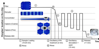 Abb. 1. FIND-Chip-Prozesssequenz