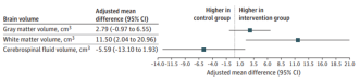 Abb. 3. Hirnvolumen (graue und weisse Hirnsubstanz, Hirnflüssigkeit) 6 bis 12 Monate postpartum korrigiert nach dem totalen intrakraniellen Volumen zwischen Kontrollgruppe und Interventionsgruppe.