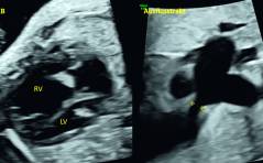 Sonoquiz: Was ist das?