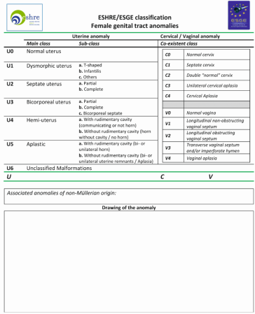 Abb. 2  Schema zur Klassifizierung weiblicher Genitaltraktanomalien nach dem ESHRE/ESGE-Klassifizierungssystem [Hum. Reprod., 2013, 28: 2032–2044].
