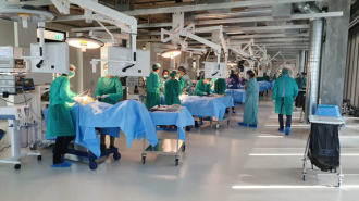 Abb. 3. Optimale Bedingungen, um die Kunst der endoskopischen Chirurgie zu erlernen