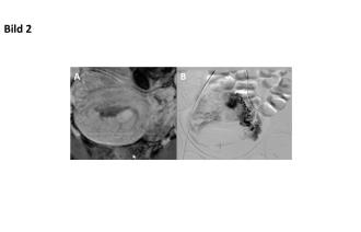 Abb. 2