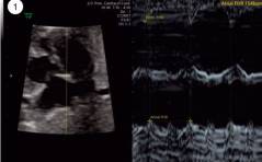 Sonoquiz - Was ist das?